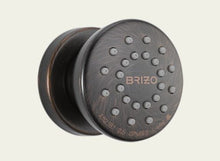 Load image into Gallery viewer, Brizo 84110-RB Touch Clean Body Spray In Venetian Bronze