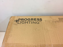 Load image into Gallery viewer, Progress Lighting Gulliver 17 in. 3-Light Graphite Semi-Flushmount P350049-143