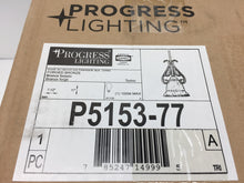 Load image into Gallery viewer, Progress Lighting Torino P5153-77 Forged Bronze Mini Pendant Tea-Stained Glass