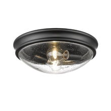 Load image into Gallery viewer, Millennium Lighting 12" 2-Light Matte Black Ceiling Fixture Flush Mount 5228-MB