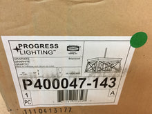 Load image into Gallery viewer, Progress Lighting P400047-143 Briarwood 20 in. 4-Light Graphite Chandelier