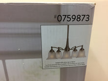 Load image into Gallery viewer, Portfolio FD15-093 Roseall 5-Light Nickel Etched Glass Shaded Chandelier 759873