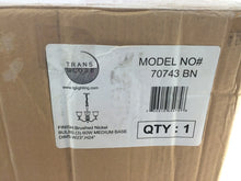Load image into Gallery viewer, Transglobe 70743 BN Thompson 3-Light Nickel Indoor Chandelier