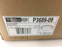 Load image into Gallery viewer, Progress Lighting P3689-09 Alabaster Glass 2-Light Brushed Nickel Flush Mount