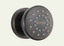 Load image into Gallery viewer, Brizo 84110-RB Touch Clean Body Spray In Venetian Bronze
