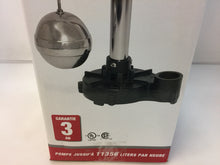 Load image into Gallery viewer, Superior Pump 92301 1/3 HP Cast Iron Pedestal Sump Pump
