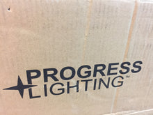 Load image into Gallery viewer, Progress Lighting P300099-009 Laird 5-Light Brushed Nickel Bath Light
