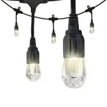 Load image into Gallery viewer, Enbrighten 31664 Cafe 48 ft. LED String Light
