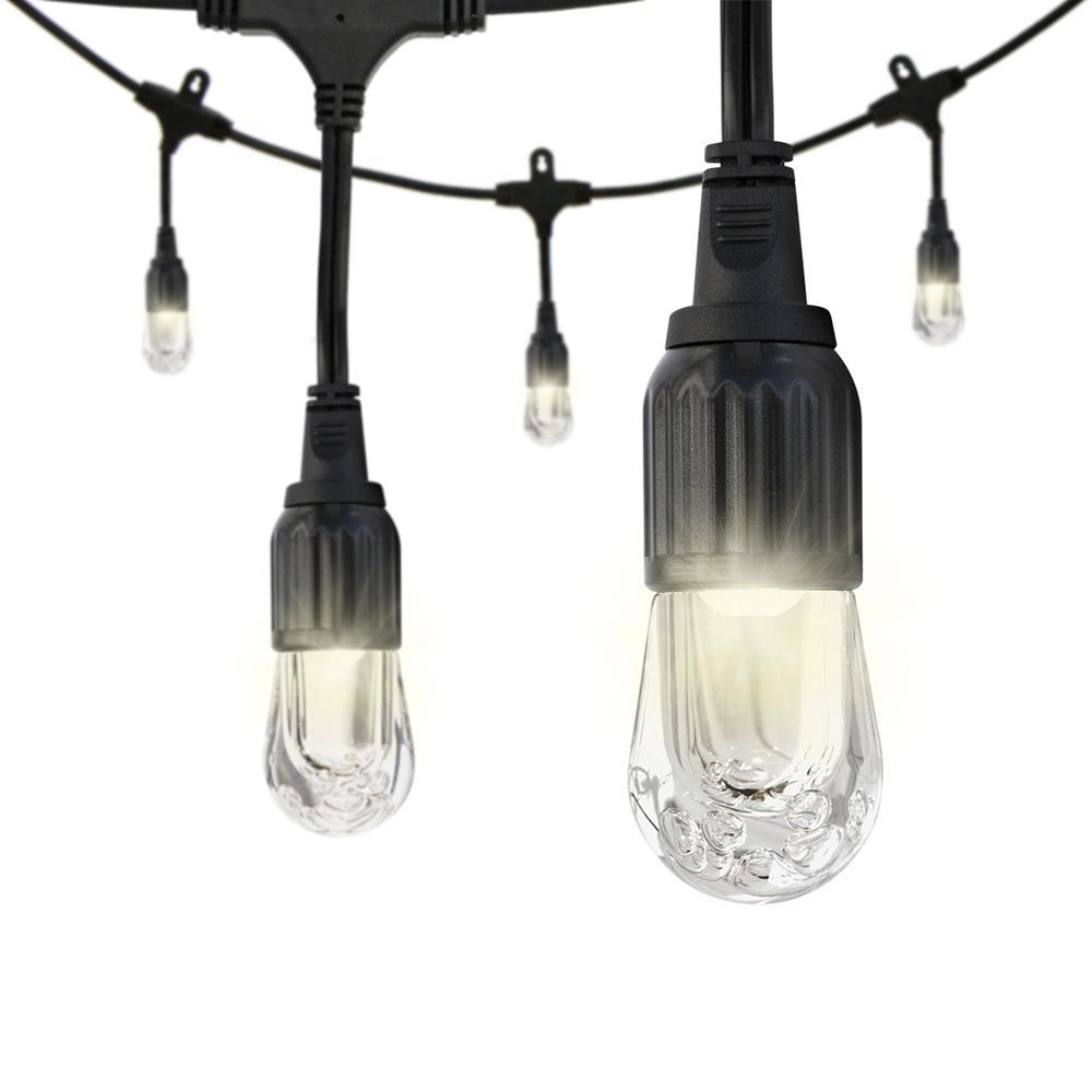 Enbrighten 31664 Cafe 48 ft. LED String Light