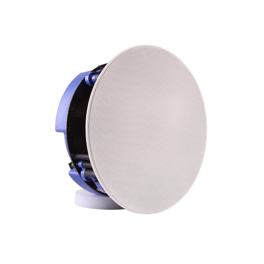 Edison Professional BTC1 Wireless Celling Speaker System – NT Electronics  LLC